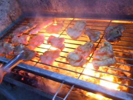 Tarja grillen.